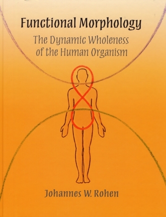 Functional Morphology