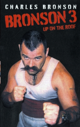 Bronson 3