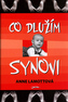Ce îi datorez fiului