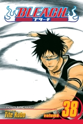 Bleach, Volumul 38