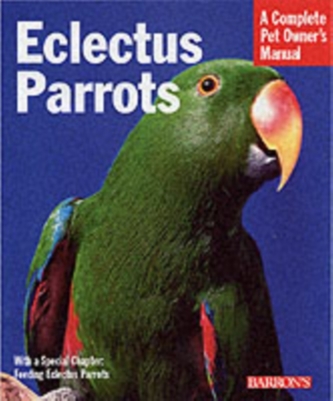 Papagalii Eclectus