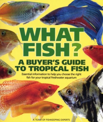 What Fish