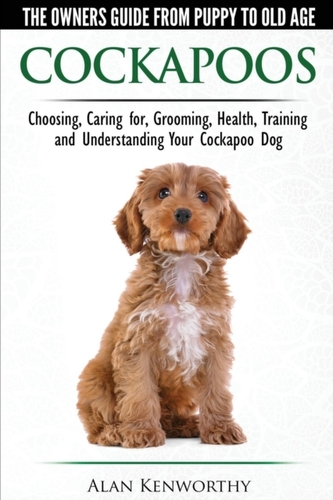 Cockapoo