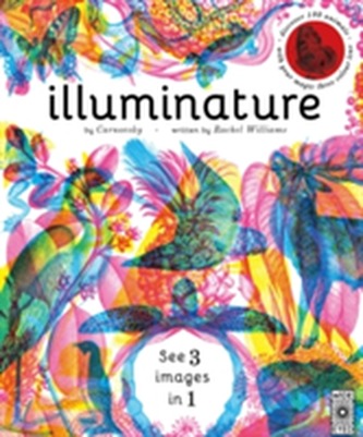 Iluminatura