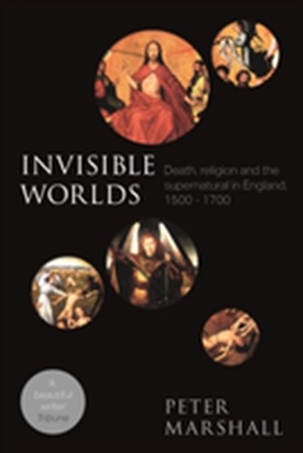 Invisible Worlds