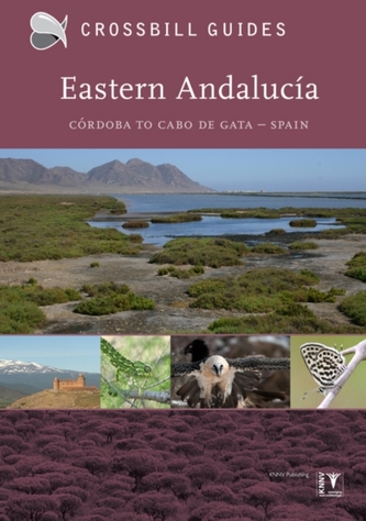 Andaluzia de Est