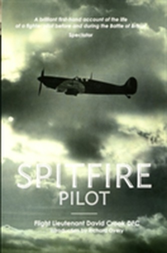 Pilotul Spitfire