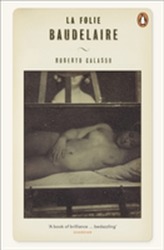 Nebunia Baudelaire