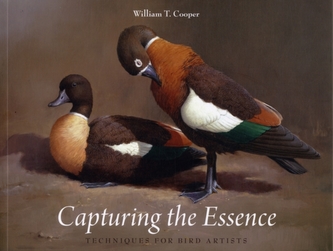 Capturing the Essence