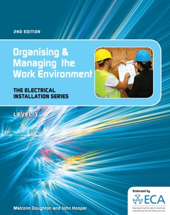 EIS: Organising and Managing the Work Environment