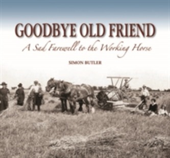 Goodbye Old Friend