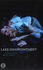 Lake Disappointment