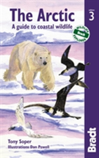 Arctic