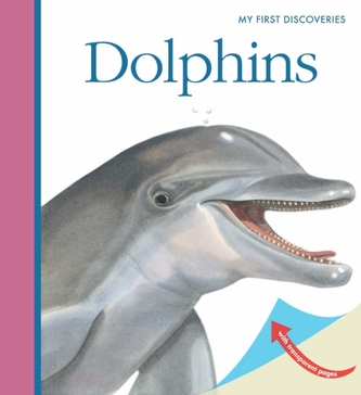 Delfini