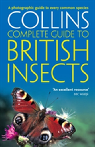 Insecte britanice