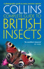 Insecte britanice