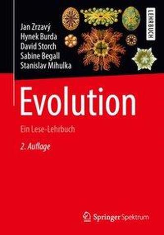 Evoluție