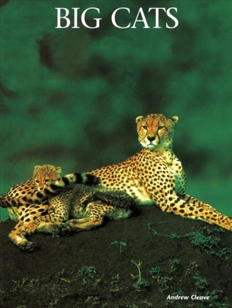 Big Cats