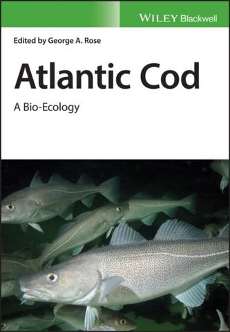 Codul atlantic