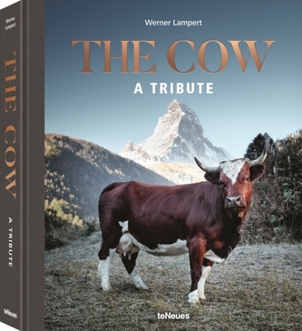 Vaca