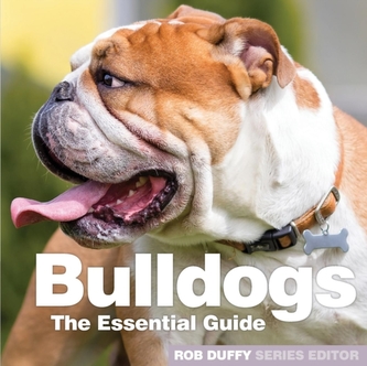 Bulldogii