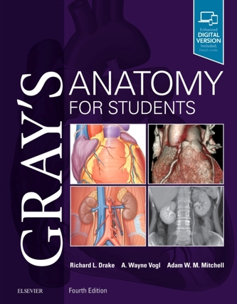Anatomia lui Gray pentru studenți