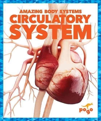 Sistem circulator