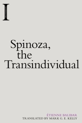 Spinoza, transindividualul