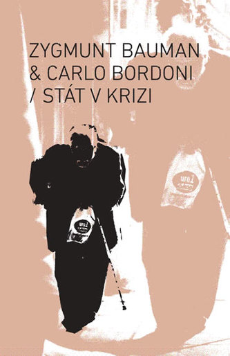 Stat în criză
