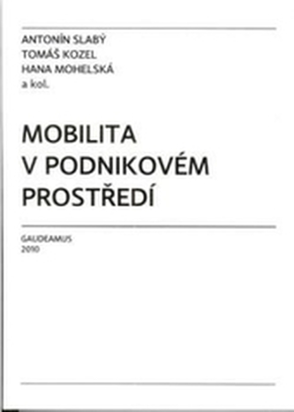Mobilitate în mediul de afaceri