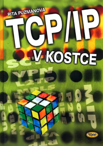 TCP/IP pe scurt