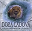 Era glaciară