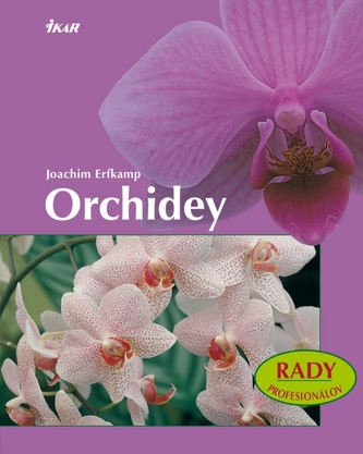 Orhidee