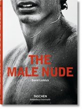 Nud masculin