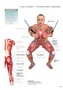 Antrenament funcțional - anatomie