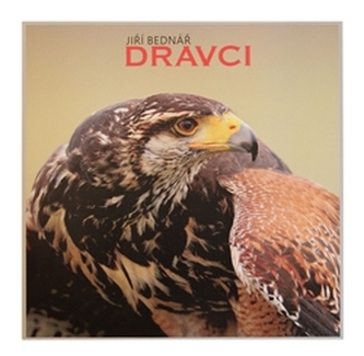 Păsări de pradă