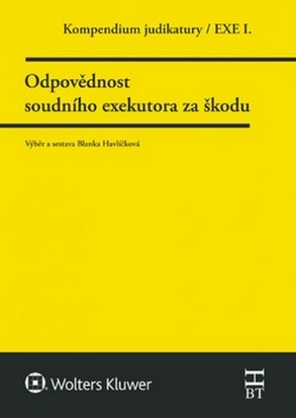 Compendiu de jurisprudență. Răspunderea executorului judecătoresc pentru daune. Partea I