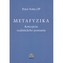 Metafizică