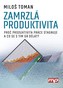 Productivitate înghețată