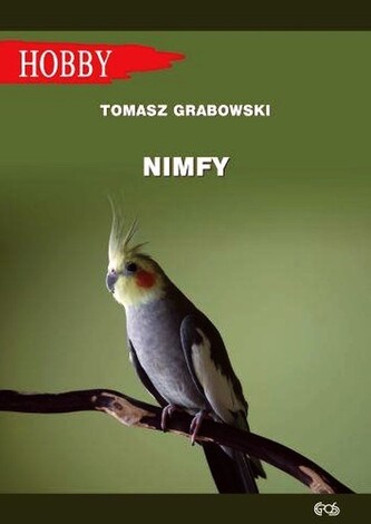Nimfe