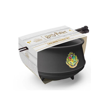 Bol Harry Potter - Cauldron
