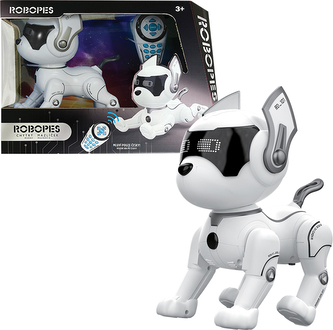 ROBOPES Junior