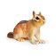Chipmunk de est