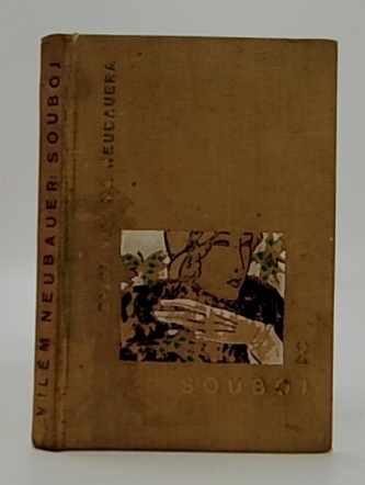Souboj