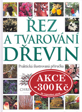 Tăiere și modelare a arborilor
