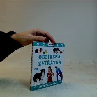 Copiii descoperă: animale preferate