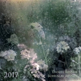 Calendar Daniel a Bohuslav Reynkovi 2017