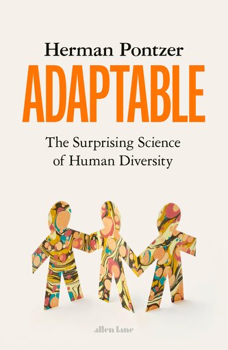 Adaptabil
