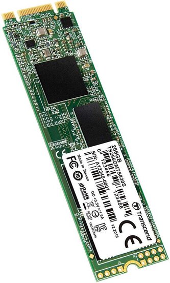 Transcend TS256GMTS830S