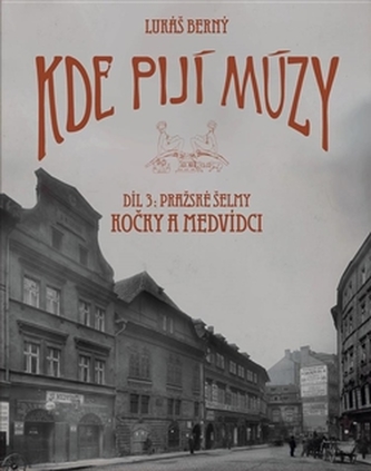 Unde beau muzele 3